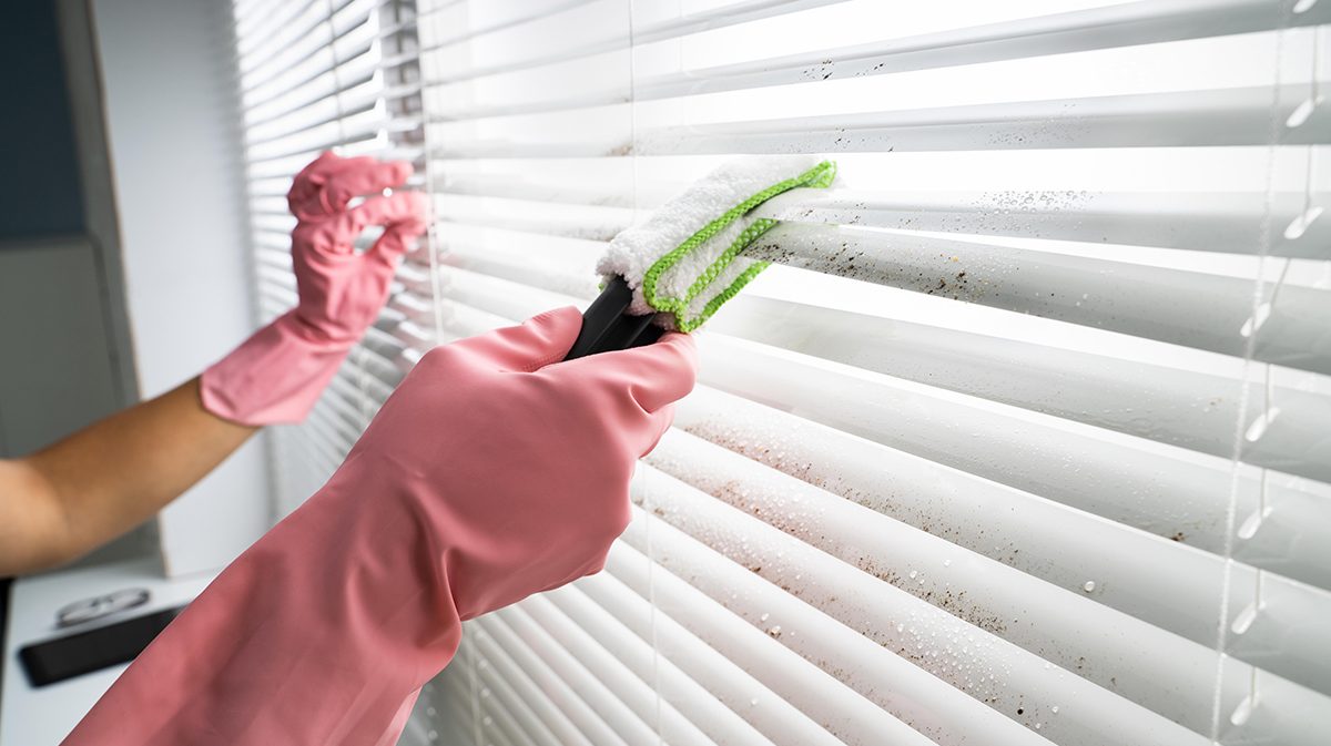 Person Cleaning Window Blinds