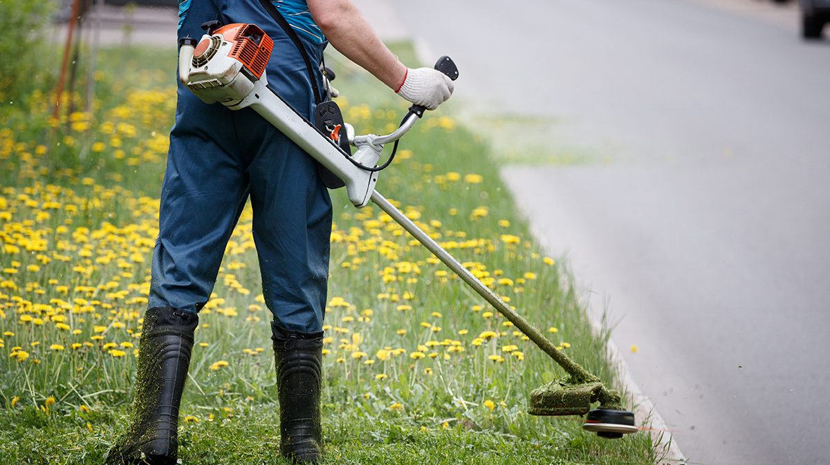 View from the back to the man with a gasoline mower. Worker in overalls mows the grass on the lawn with a trimmer near the roadway.